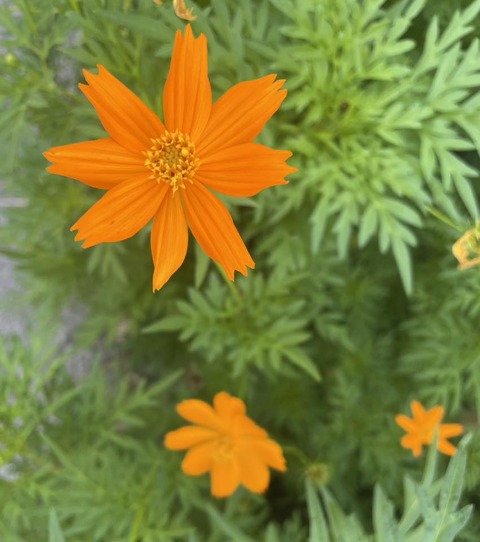 525223429_24209159428737188_6510885690756417419_n