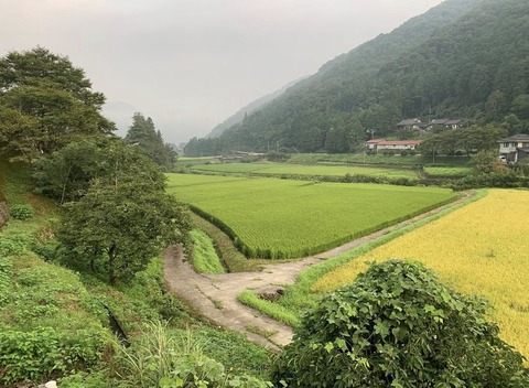 549557794_24680653304921129_6881818394733760870_n