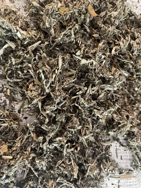 499761345_9929903447089358_22824358671404677_n