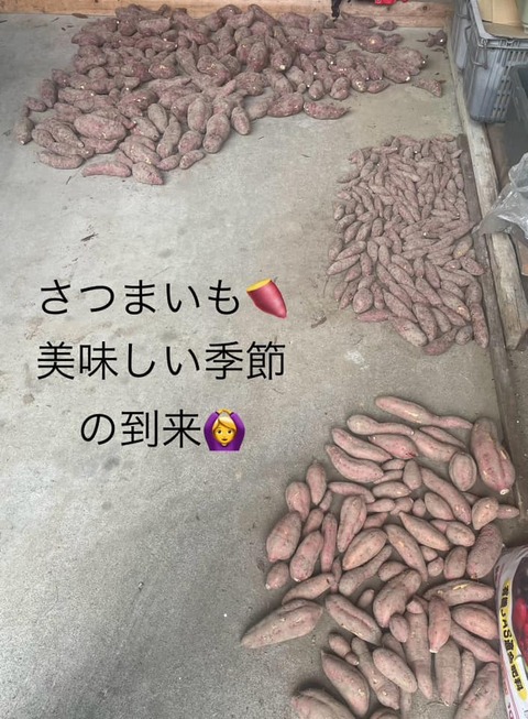 463748750_8618138288265887_5340173684690178146_n