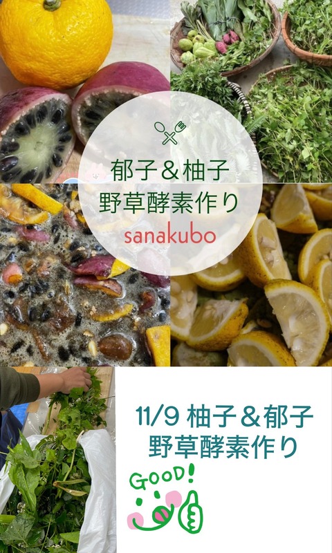 571788368_25067450312908091_7609482142438940778_n