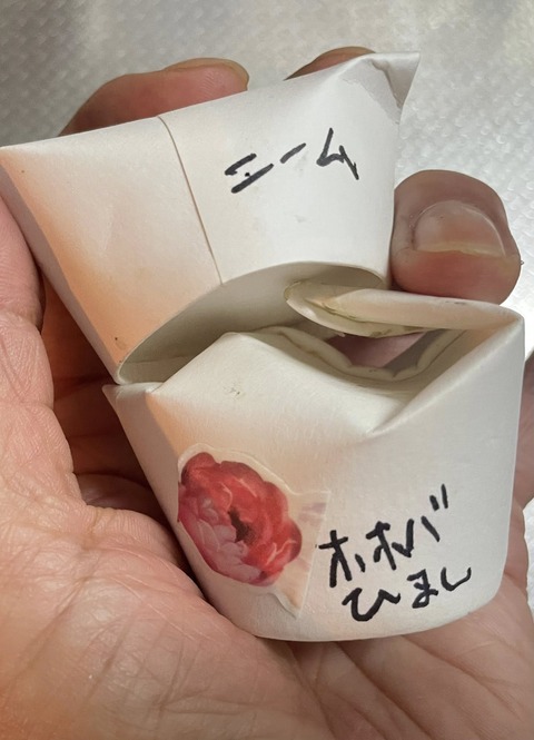 545583480_24583214561331671_8280373188604541947_n