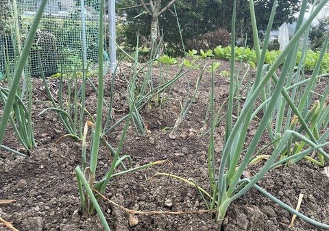 555981888_24779332998386492_8339988637198242161_n