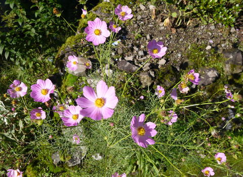 P1320655