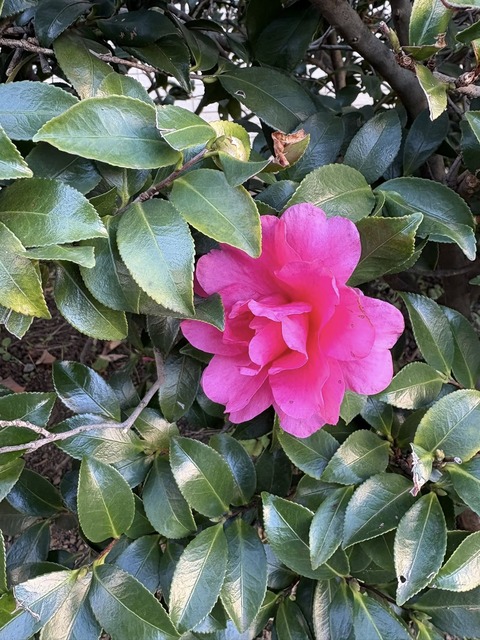 595631690_25375471692105950_357315408929459765_n