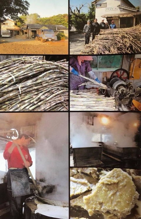 56304301_2167126576700456_4271502979128885248_n