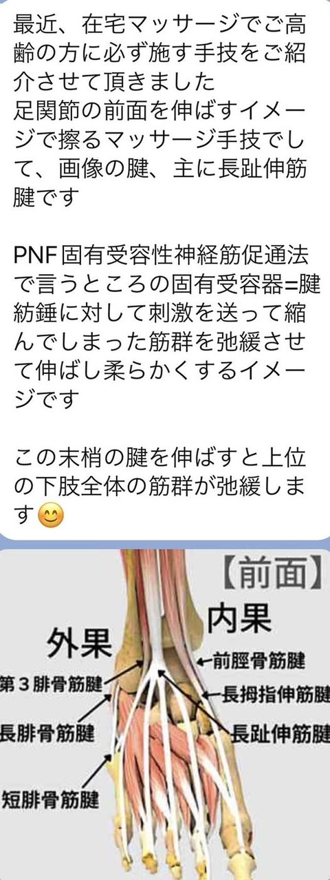 536553862_24426030507050078_4850333094019263982_n