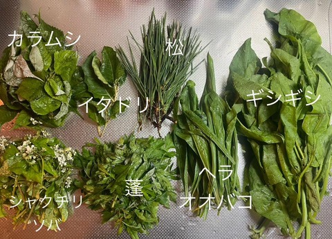 578735981_25140578258928629_5841105505150695273_n