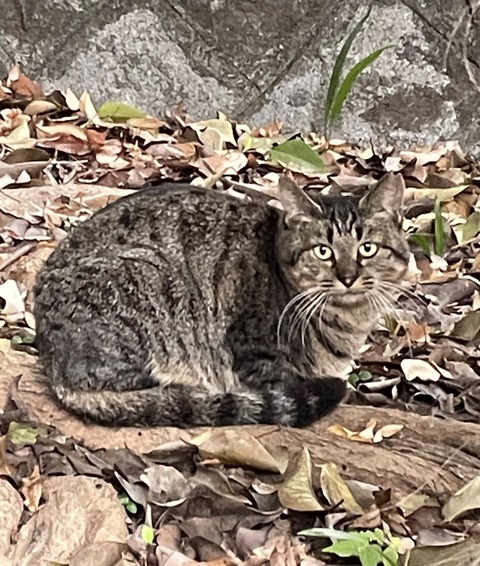 587119375_25281114014875052_9025532110644649852_n