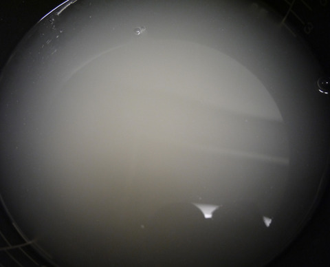 P1290846