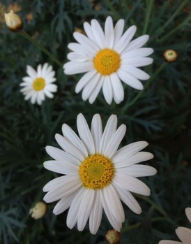 20134281