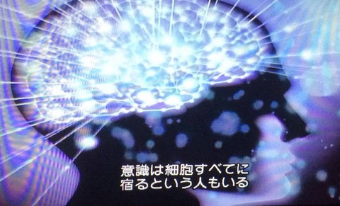 98176817_3002227913190314_1784256227962781696_n