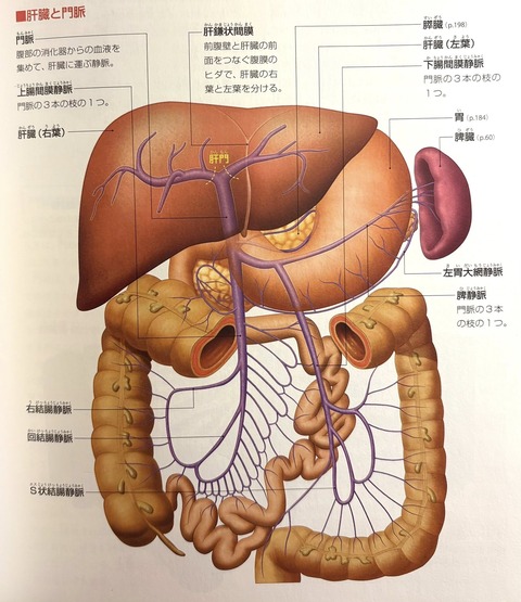 603926101_25510511195268665_5184363337536319065_n