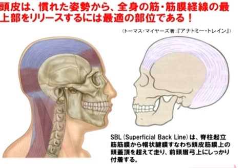 48416670_2021397177940064_2062938019937124352_n