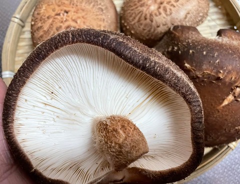 270305264_4731449833601438_6241415993521167686_n