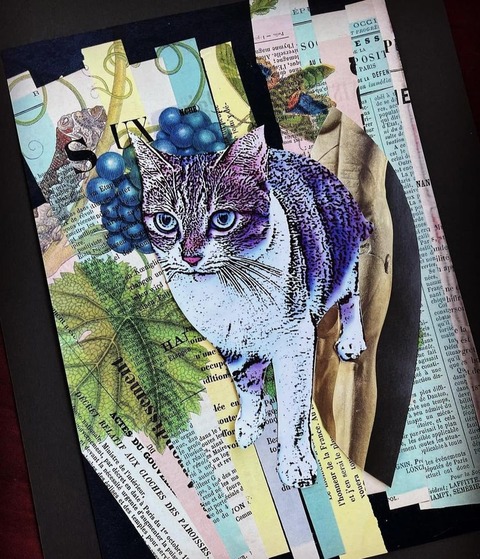 322174596_1216966225891178_4650668998953985680_n