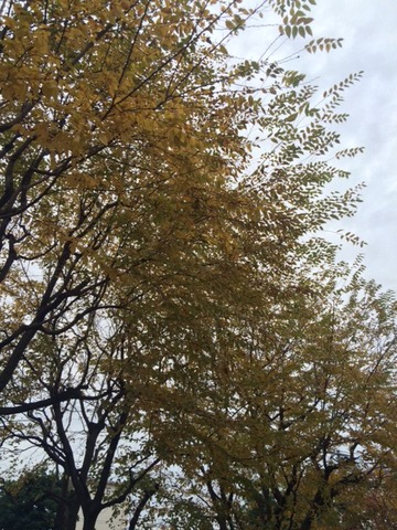 bc04a724.jpg