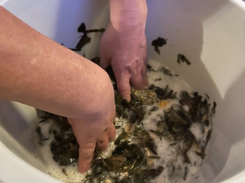 564597249_24941271825525941_3557689475168441772_n