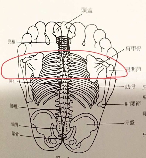 421977882_873854561198800_4350925588811206802_n