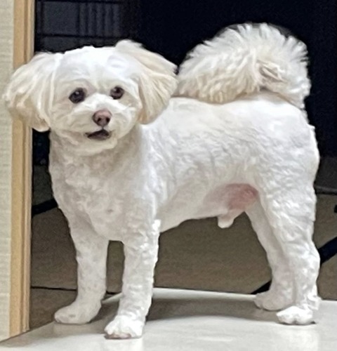 558592977_24779332108386581_5244074445037336796_n