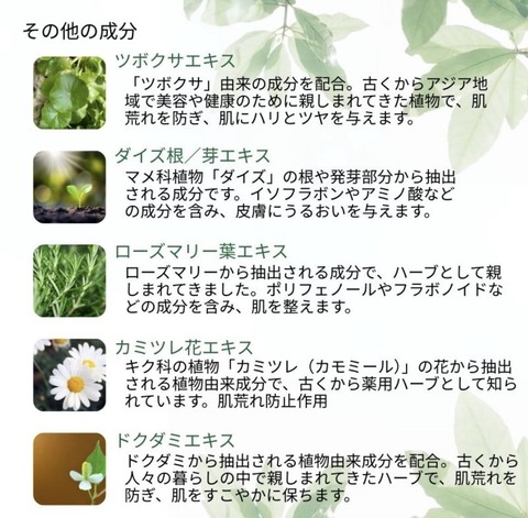 544731378_24559301337056327_1136179912638414961_n