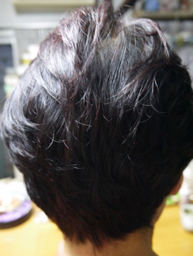 P1310263