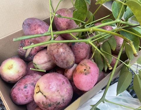 580571551_25140577275595394_4683436998495311166_n