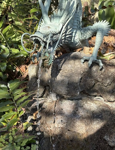 618981644_25716135498039566_1540065191438852054_n