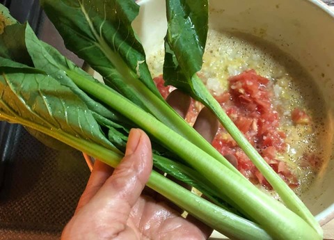 119239586_3329420720471030_3270188568731075949_n