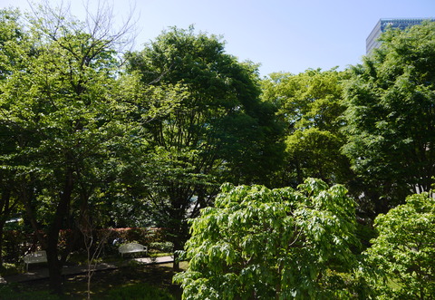 P1390171