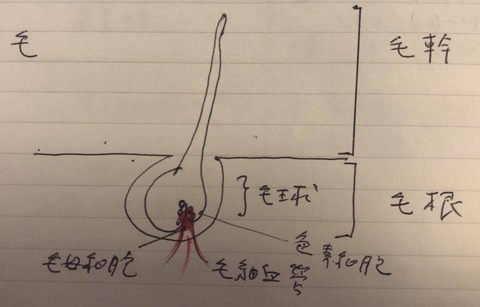 72380809_2492024154210695_209079622149603328_n