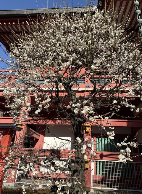 615751637_25716135321372917_963070144226950842_n