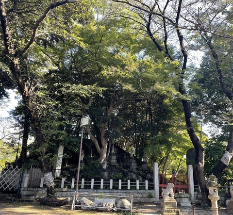 561332612_24921913130795144_4366680392311861530_n