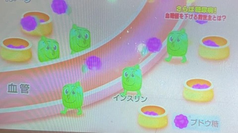 339728176_550331687087382_7549454308449890340_n
