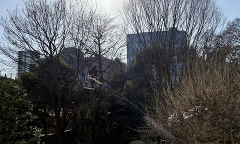 622426458_25798618059791309_8960084175774366199_n