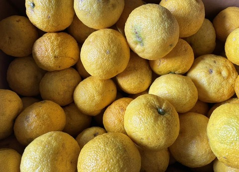 577529271_25140577662262022_3630929366122100380_n