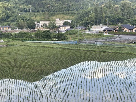 491283163_10052913994788302_2358369458159450337_n