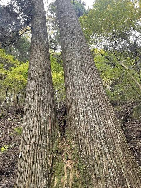 574496036_25112303298422792_7314033251170036057_n