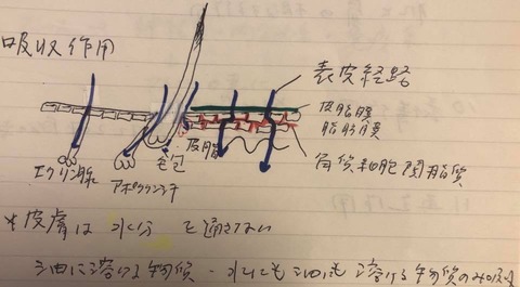 72739732_2492024144210696_1148885695637487616_n