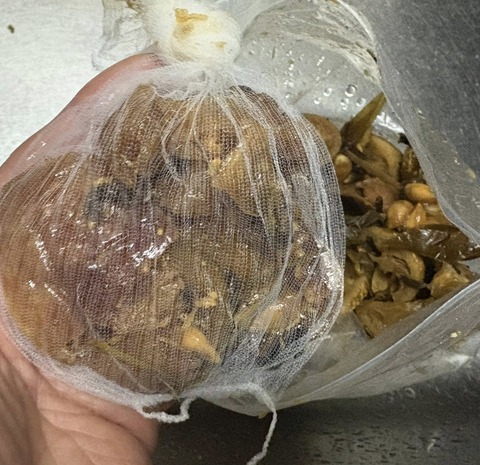 604834471_25510510911935360_6364830439475613377_n