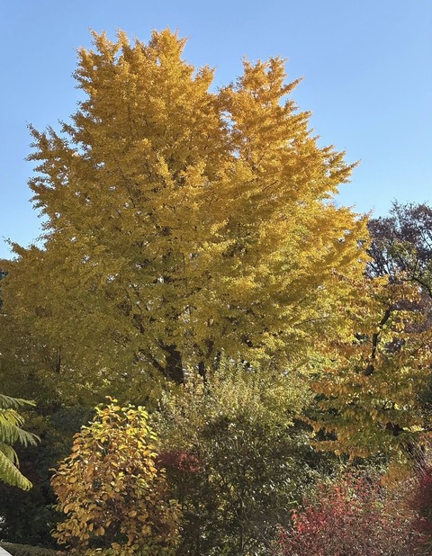 591941555_25327461800240273_6834869090945672501_n