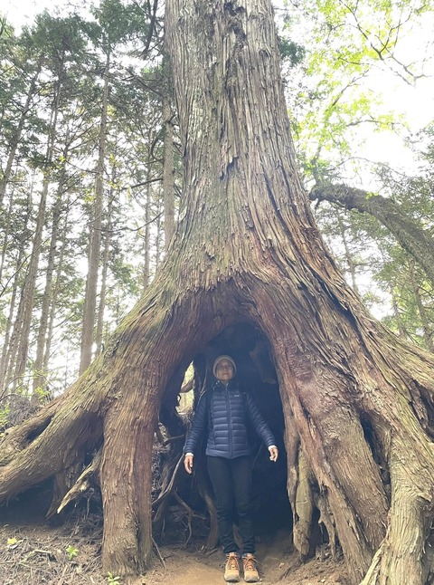 575171398_25112307005089088_8908336433039178708_n