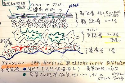 291066529_5281781981901551_8680200833672202295_n