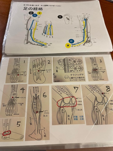 295176587_5368255839920831_5860258816862667579_n