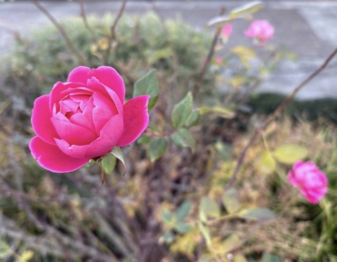 611727883_25599392813047169_6883939820544202112_n