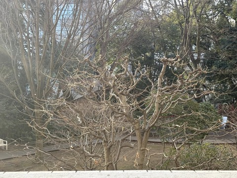 623405352_25798616843124764_7440824915128291420_n