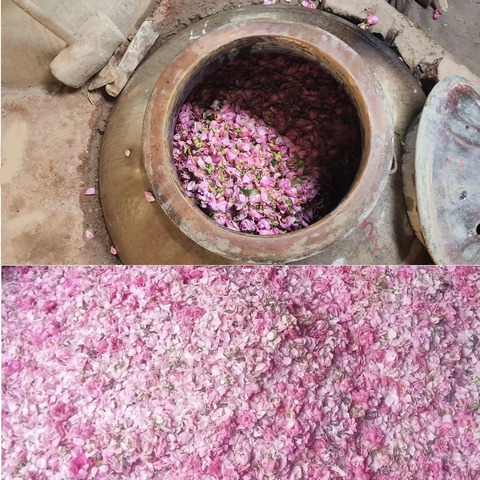 3a14bf1314679563ea2a8602f8d159e6