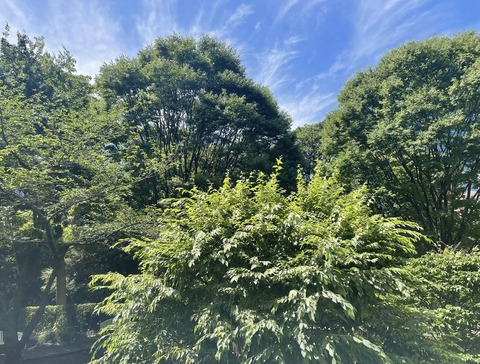357735757_6433796243366780_4978421151779212611_n