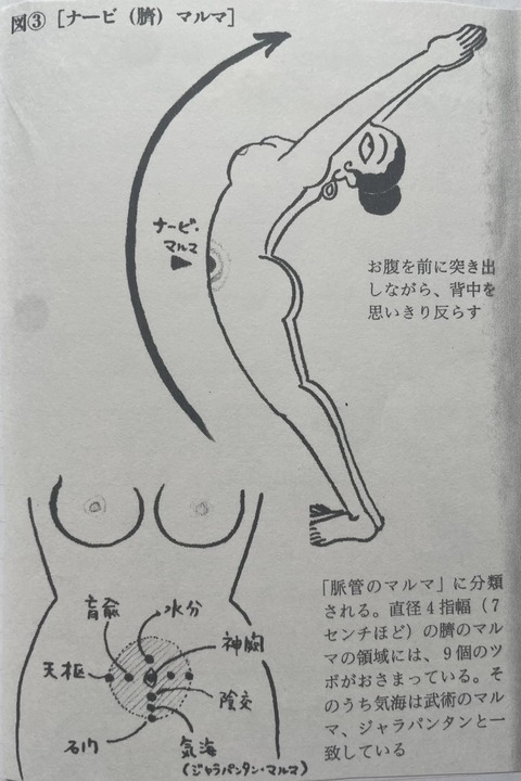 449395813_7859474894132234_2094582368690513321_n