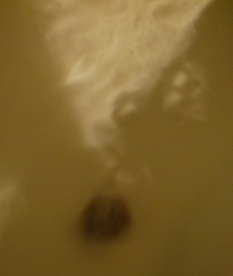 P1240909